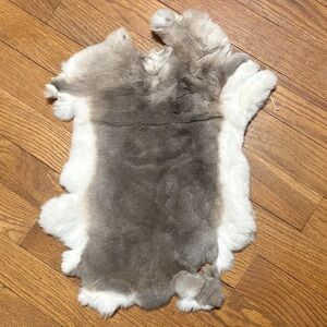 #0631 Rex rabbit pelt